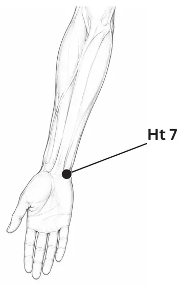 Drawing showing where to find the point Spirit Gate (HT7)