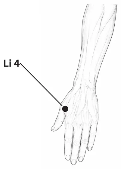 Drawing showing where to find the point Joining Valley (LI4)